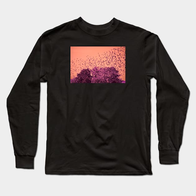 The Birds / Swiss Artwork Photography Long Sleeve T-Shirt by RaphaelWolf